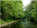 Grand Union Canal near Acock