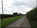 Lane leading to Crouch Hill Farm