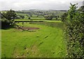 Pasture by Combpyne Road