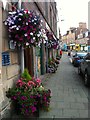 Floral display in the Wellmeadow, Blairgowrie