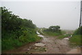 Field track near Moor Farm