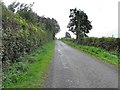 H6817 : Road at Corkeeran by Kenneth  Allen