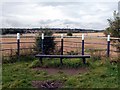 SE5606 : A bench with a view by Graham Hogg