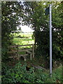 Footpath by Fir Tree Farm