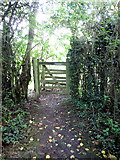 SP7730 : Path to Spring Lane by Philip Jeffrey