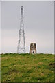 SO0263 : Trig point  by Philip Halling