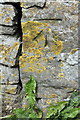 Benchmark on ruined barn on Green Howards Road