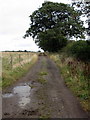 Farm track to Cowpen Wood