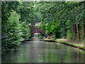 Grand Union Canal  near Elmdon Heath, Solihull