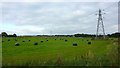 Fields Near Hollins Park Hospital