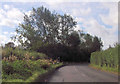 Blackgrove Road at start of footpath