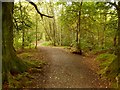 Path to Abercromby Crescent