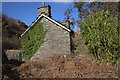 Abandoned farmhouse on Ynys Gifftan