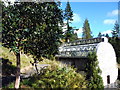 The Benmore Fernery restored