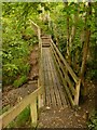 Footbridge in Duchess Wood