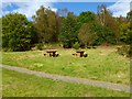 Footpath in Duchess Wood Local Nature Reserve