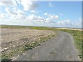 Track across Eastchurch Marshes