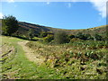 Field edge path on the Blorenge