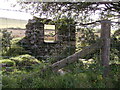 Ruin opposite Pistyll Teg