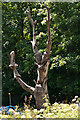 Chainsaw Sculpture, Woodbridge Meadows