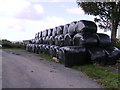 Silage bales at Pistyll Teg