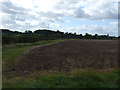 Farmland off Barn Lane