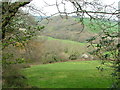 View towards Buckshead from Kenwyn cemetery