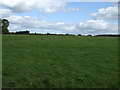 SP4378 : Farmland, Abbey Hall Farm by JThomas