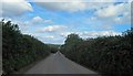 Typical narrow lane (and this is wide in comparison!) near Mattiscombe