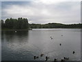 The Lake, Doncaster Lakeside