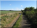 Bridleway 2163 connecting Lyminster with Poling