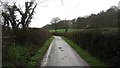 Road passing Gatley Park