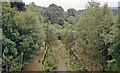 Remains of Craigellachie station, 1988