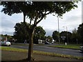 Roundabout on Sevenoaks Road, Pratt