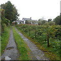 Entrance drive to  Llanwrtyd Hall, Llanwrtyd