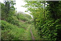 Footpath from Upper Halling