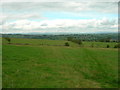 Path to Paris Farm from Harden New Hall