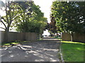 Entrance to nurseries off Barnham Road