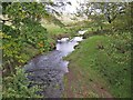 Cessnock Water