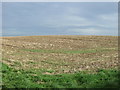 Farmland off Lighthouse Road