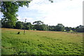 Grassy field south of Elmbridge Rd