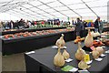 SO7842 : National Vegetable Society display, the Autumn Show by Bob Embleton