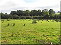 Letfern Townland