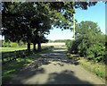 Bighton Road passes entrance to Grove Farm