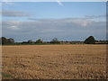 View towards Heckington