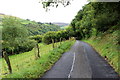 Road near Gwarallt Woods, near Cregrina, Powys