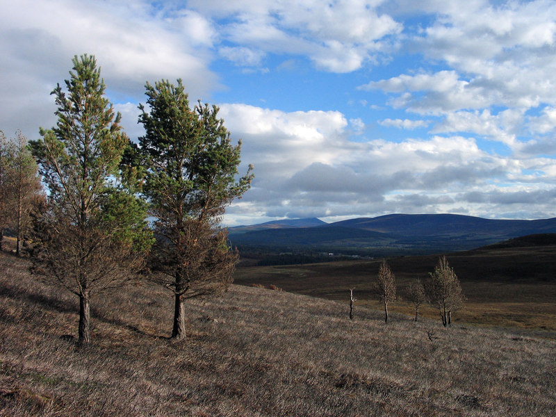 Slope rising to hill at 417 metres © Trevor Littlewood :: Geograph ...