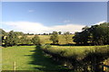 Towards Pedley Brook