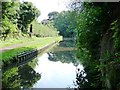 The Staffs and Worcs canal