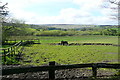 Towards Hedge Barton